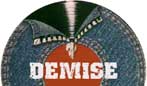 Demise