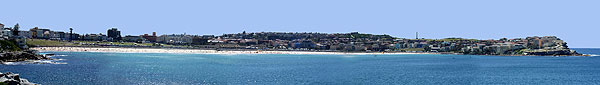 Bondi Panorama